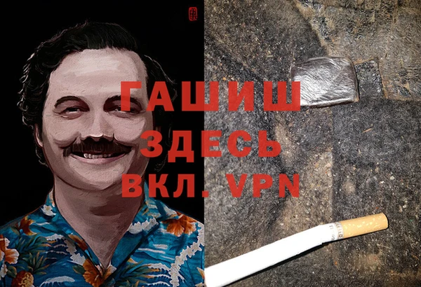 гидра Белокуриха
