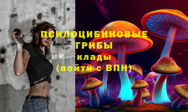 ПСИЛОЦИБИНОВЫЕ ГРИБЫ Беломорск